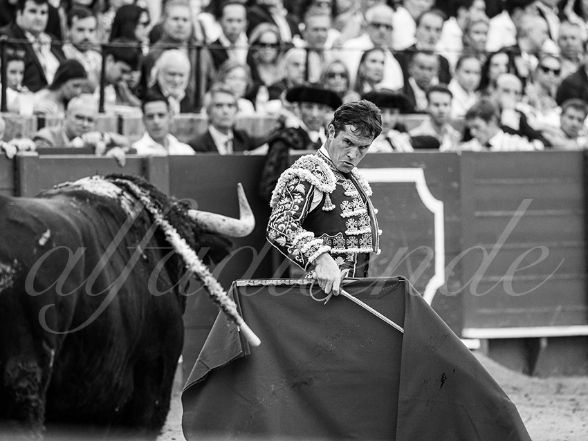 20250928 sevilla by alfaduende 014