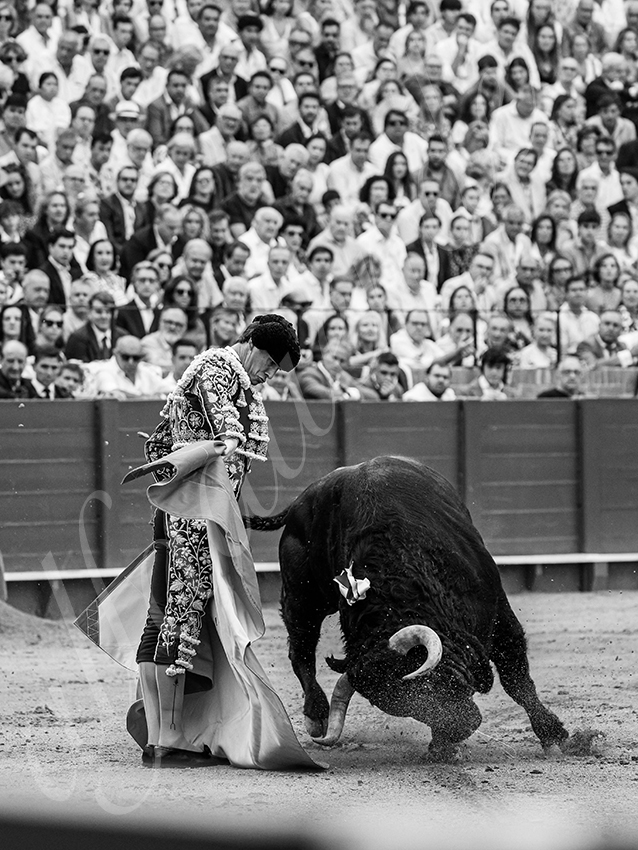 20250928 sevilla by alfaduende 013