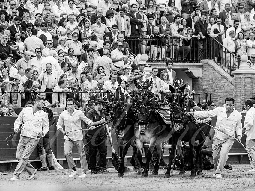 20250928 sevilla by alfaduende 032