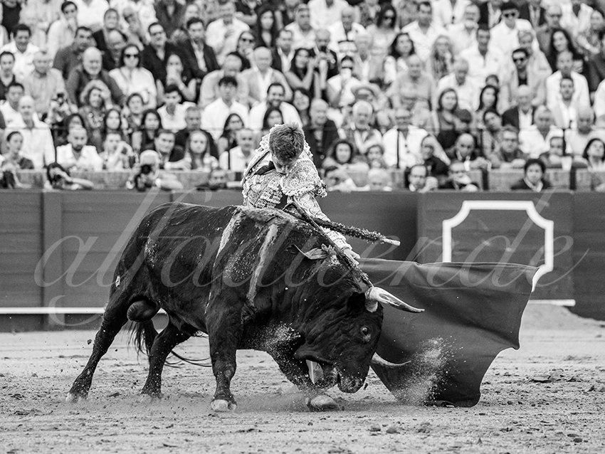 20250928 sevilla by alfaduende 030