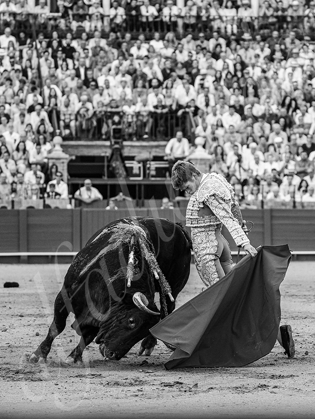 20250928 sevilla by alfaduende 029