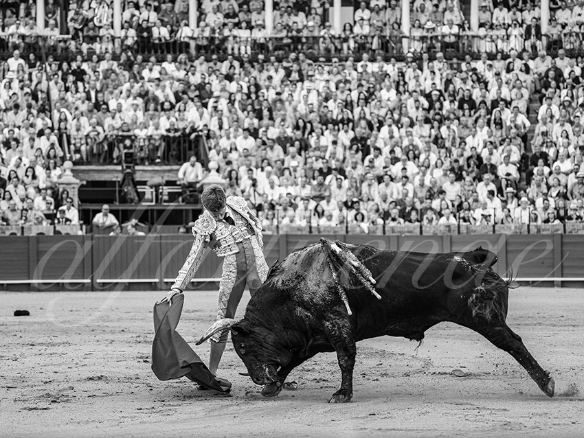 20250928 sevilla by alfaduende 028