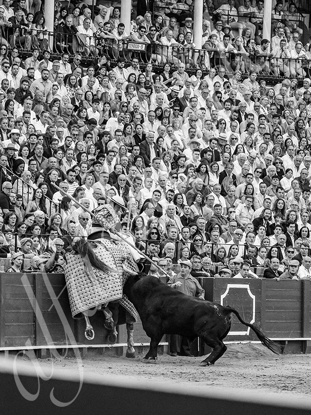 20250928 sevilla by alfaduende 027