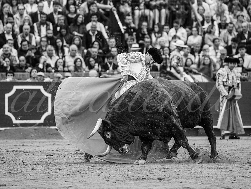 20250928 sevilla by alfaduende 010