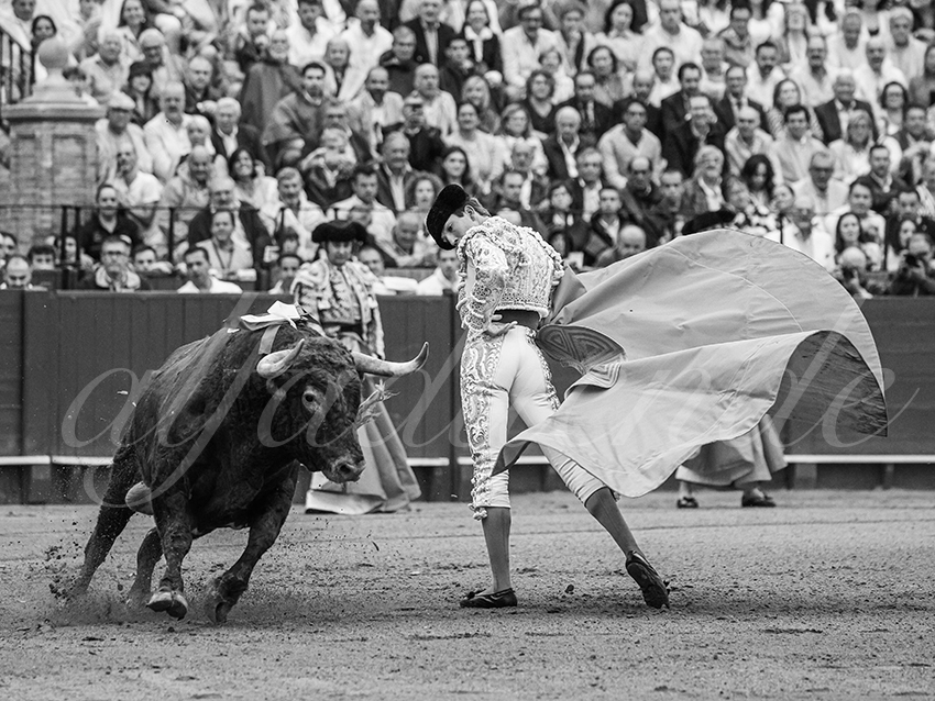 20250928 sevilla by alfaduende 009