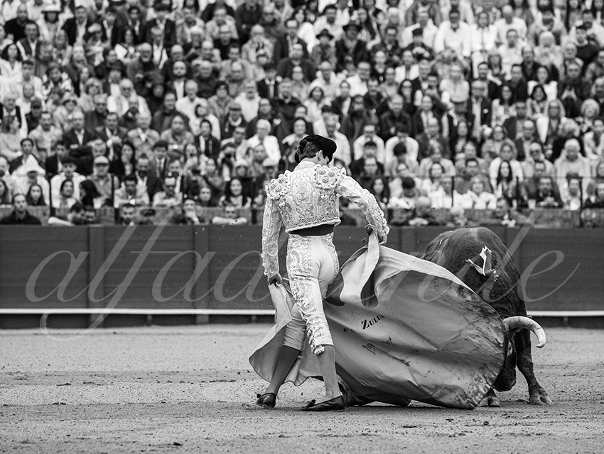 20250928 sevilla by alfaduende 008