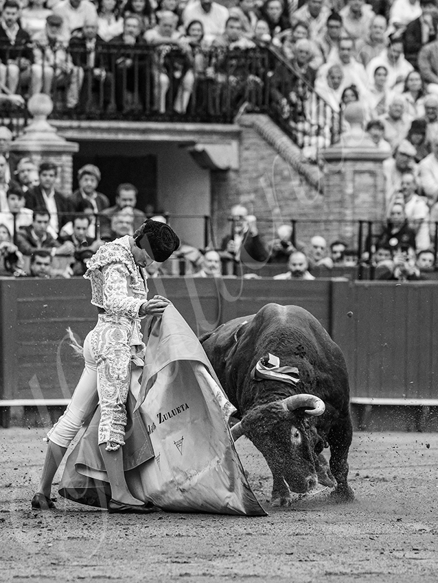 20250928 sevilla by alfaduende 007