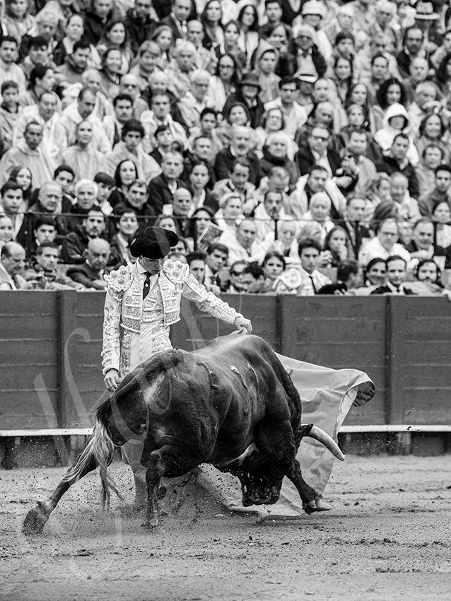 20250928 sevilla by alfaduende 006