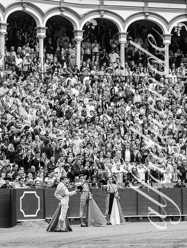 20250928 sevilla by alfaduende 005