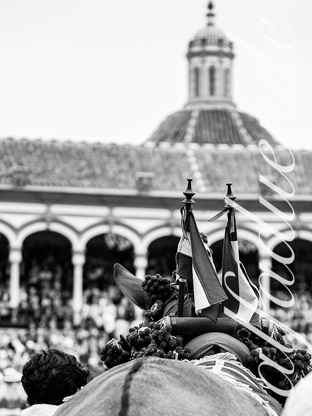 20250928 sevilla by alfaduende 004