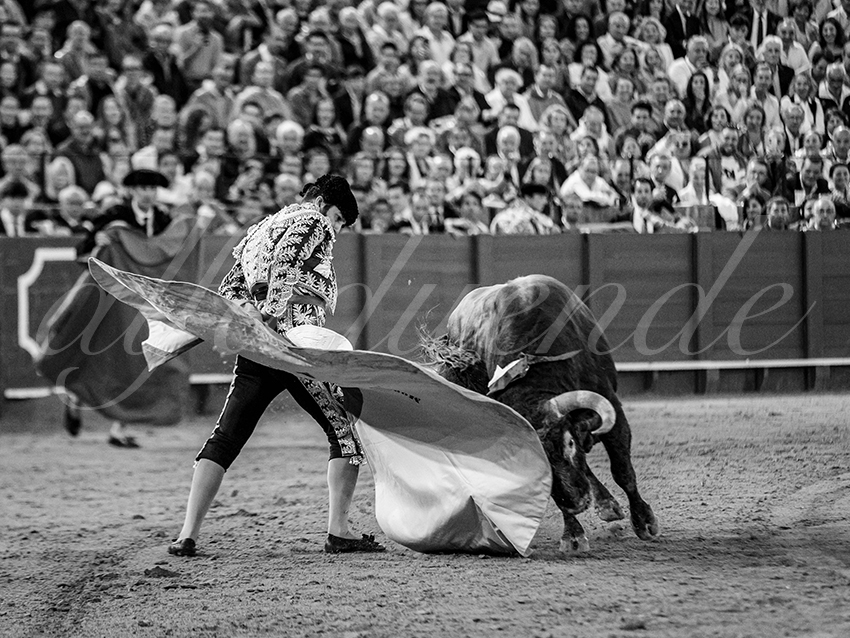 20250928 sevilla by alfaduende 026