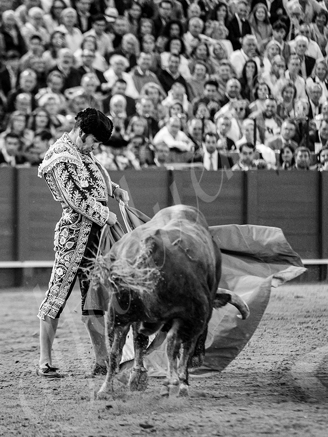 20250928 sevilla by alfaduende 025