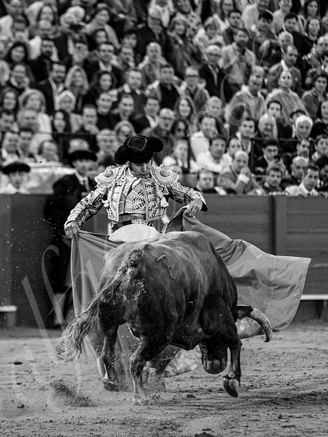 20250928 sevilla by alfaduende 024