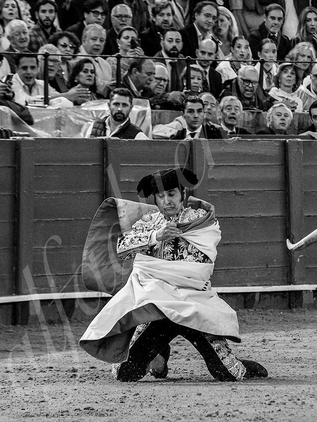 20250928 sevilla by alfaduende 023