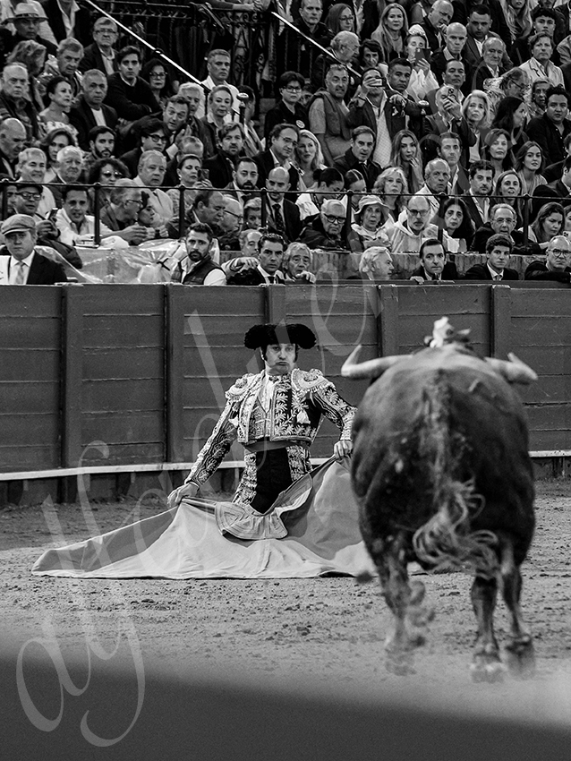 20250928 sevilla by alfaduende 022