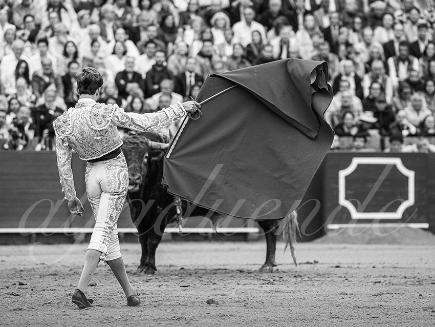 20250928 sevilla by alfaduende 018