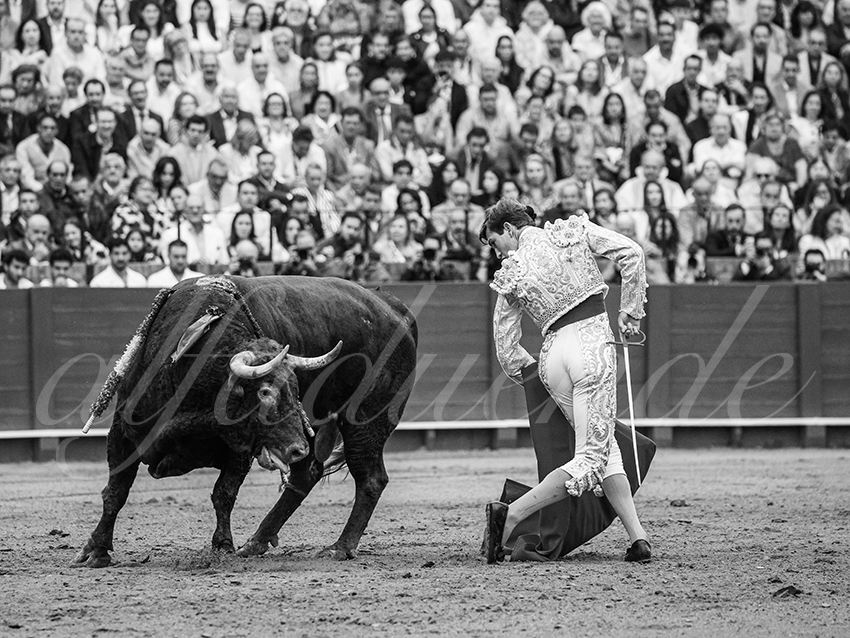 20250928 sevilla by alfaduende 017