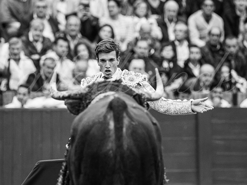 20250928 sevilla by alfaduende 016