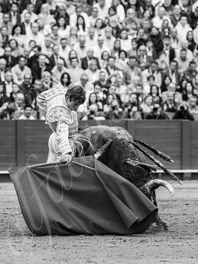 20250928 sevilla by alfaduende 015