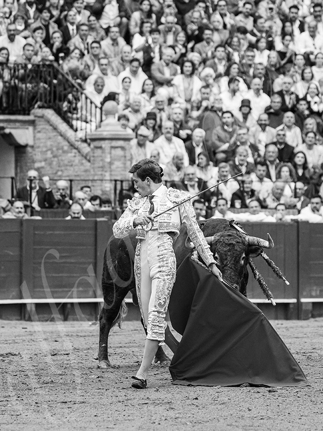 20250928 sevilla by alfaduende 014