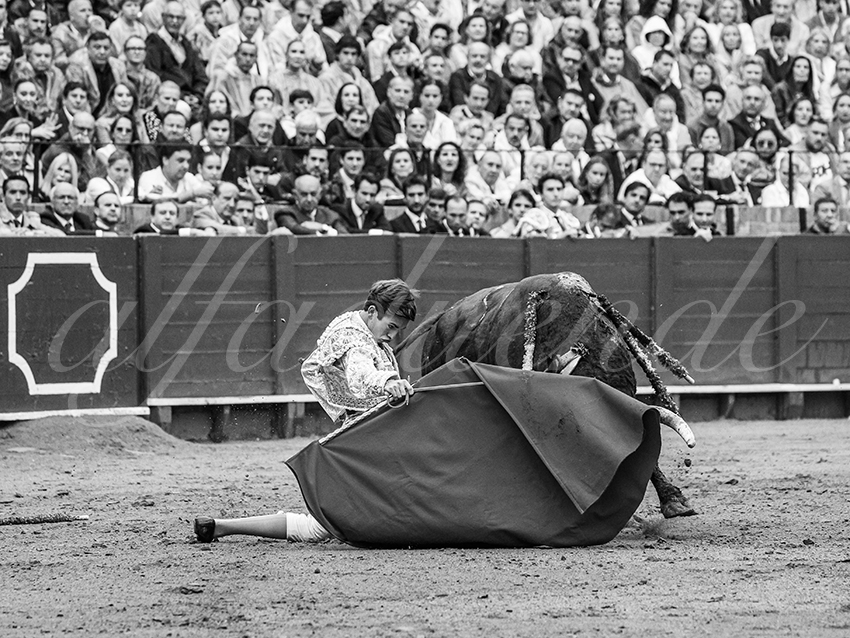 20250928 sevilla by alfaduende 013