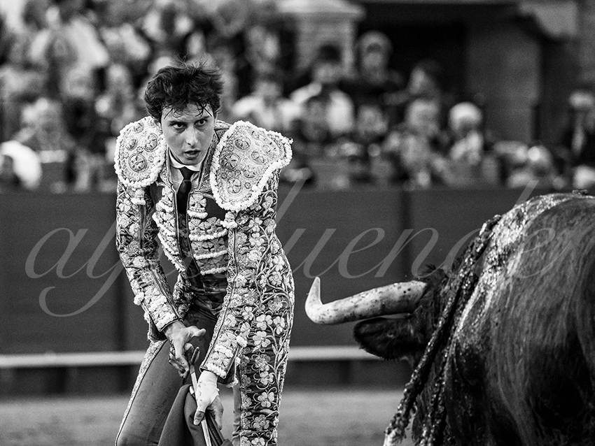 20250928 sevilla by alfaduende 032