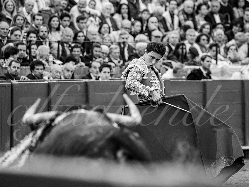 20250928 sevilla by alfaduende 031