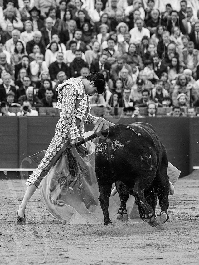 20250928 sevilla by alfaduende 030