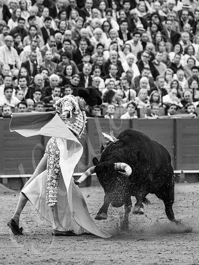 20250928 sevilla by alfaduende 029