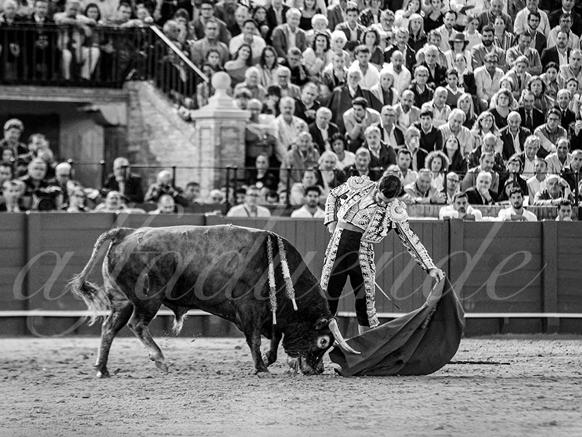 20250928 sevilla by alfaduende 028