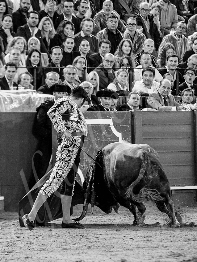 20250928 sevilla by alfaduende 027