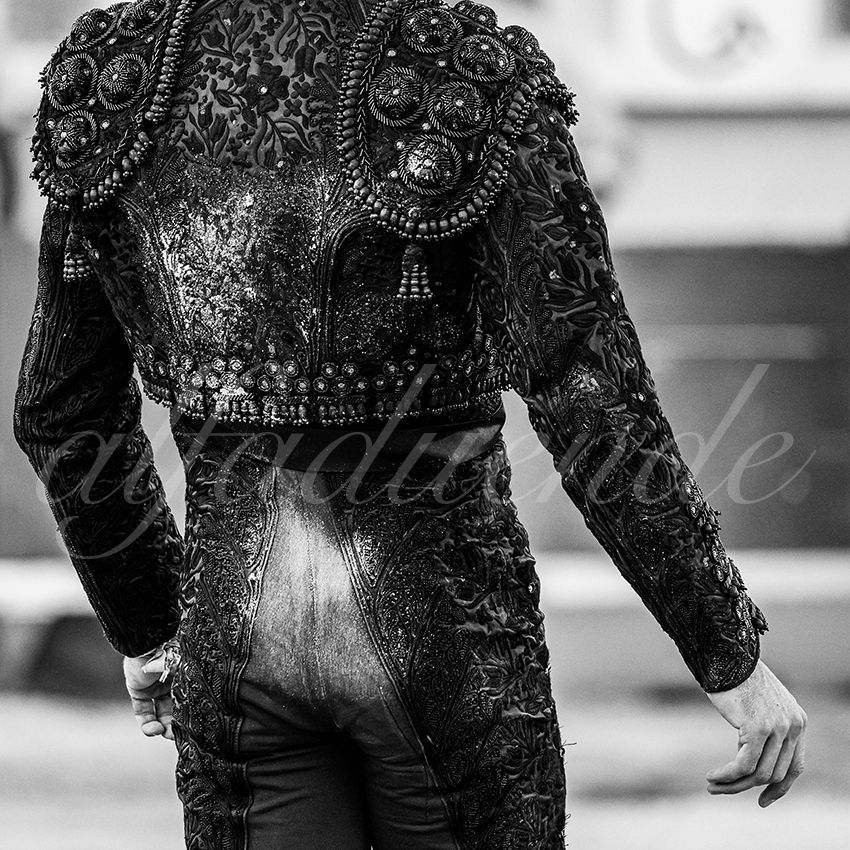 20251011 bouillargues by alfaduende 011