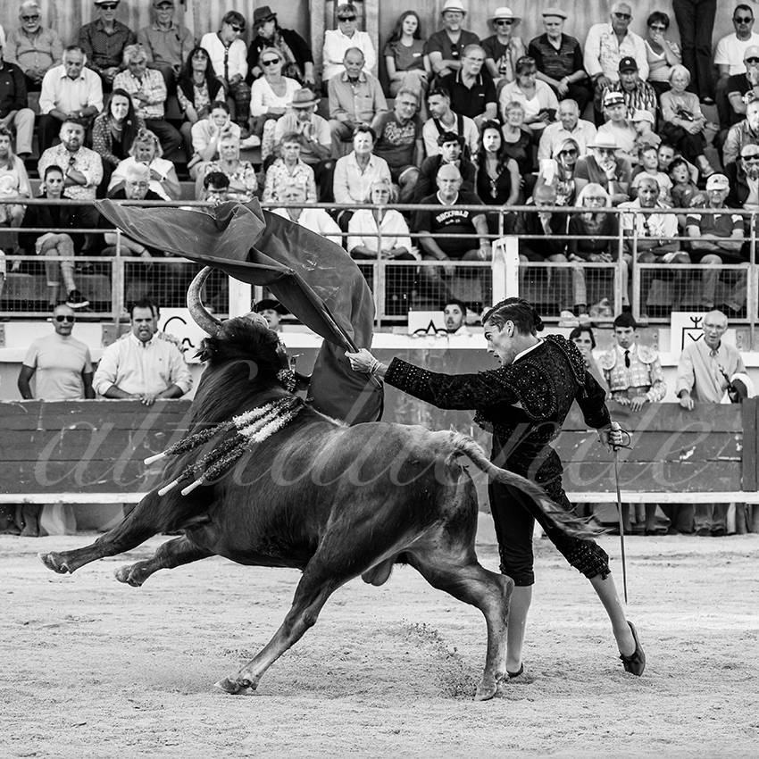 20251011 bouillargues by alfaduende 010