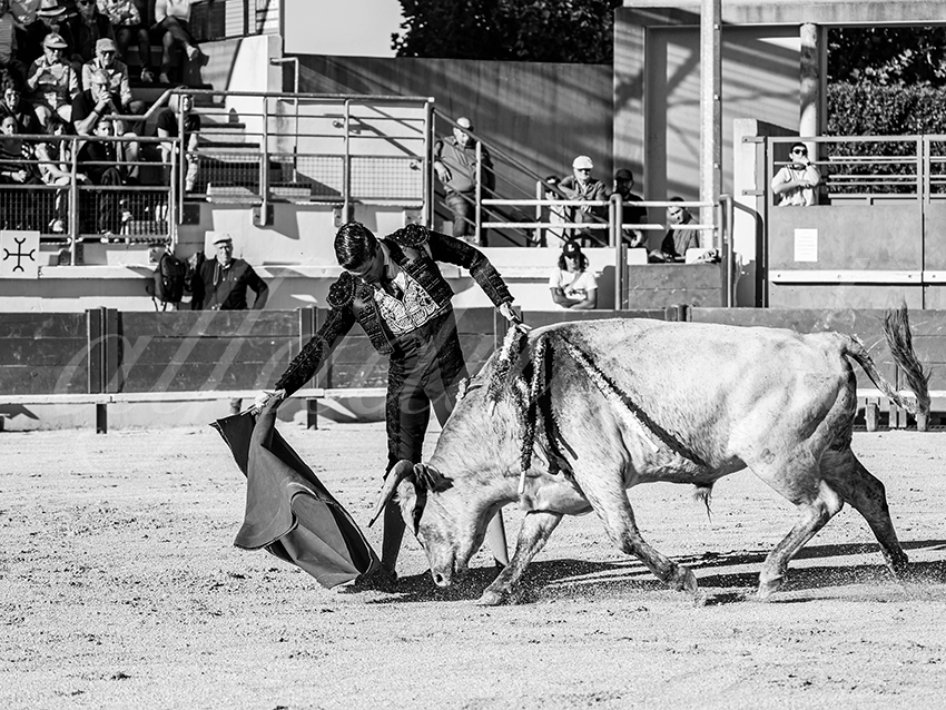 20251011 bouillargues by alfaduende 009