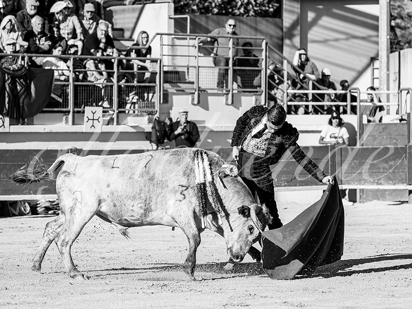 20251011 bouillargues by alfaduende 007