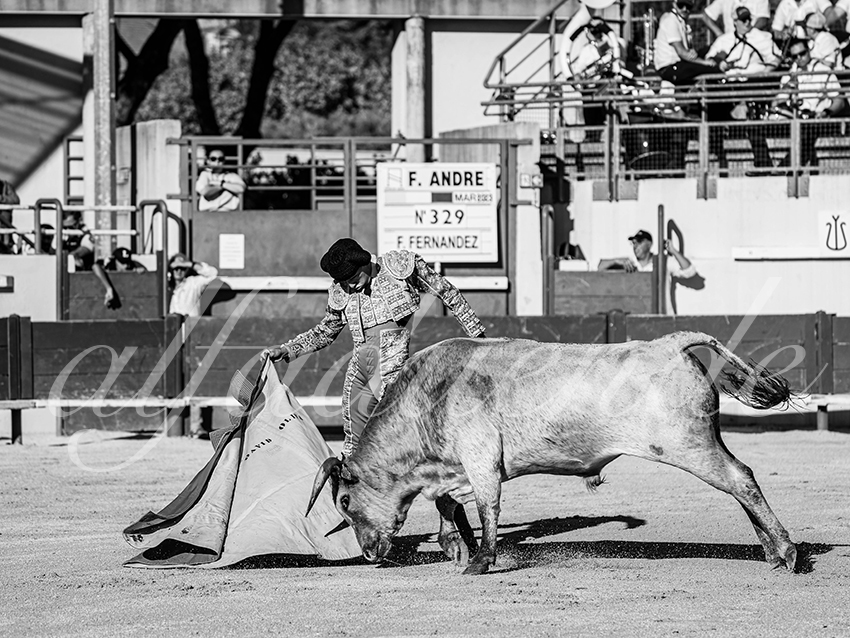 20251011 bouillargues by alfaduende 006