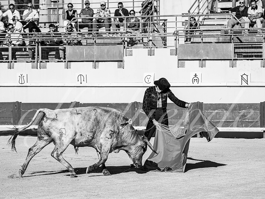 20251011 bouillargues by alfaduende 005