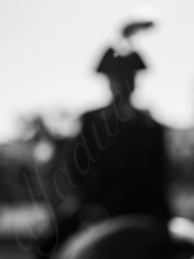 20251011 bouillargues by alfaduende 004