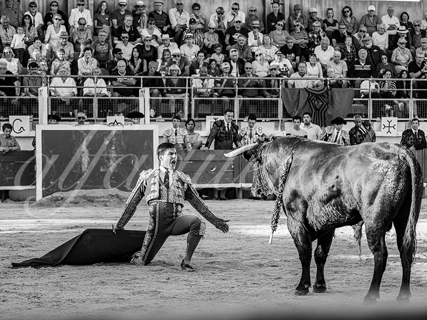 20251011 bouillargues by alfaduende 024