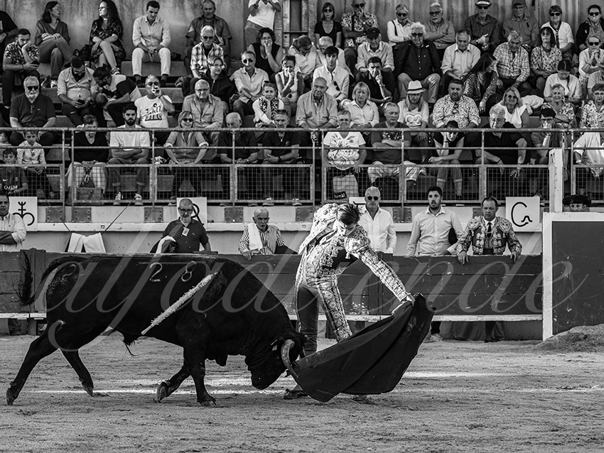 20251011 bouillargues by alfaduende 023