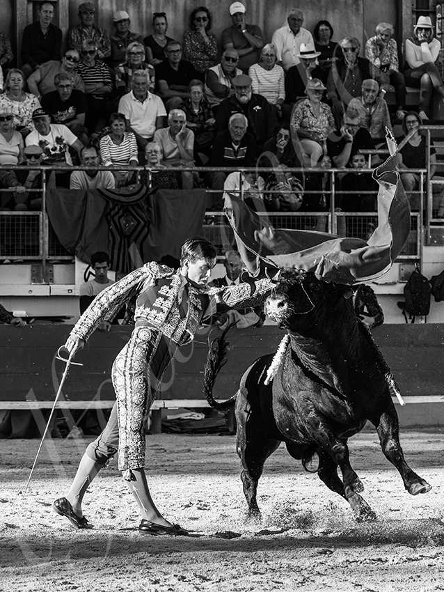 20251011 bouillargues by alfaduende 022