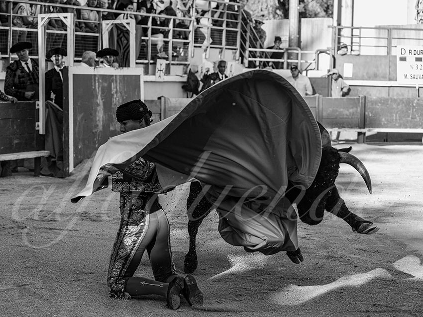 20251011 bouillargues by alfaduende 020