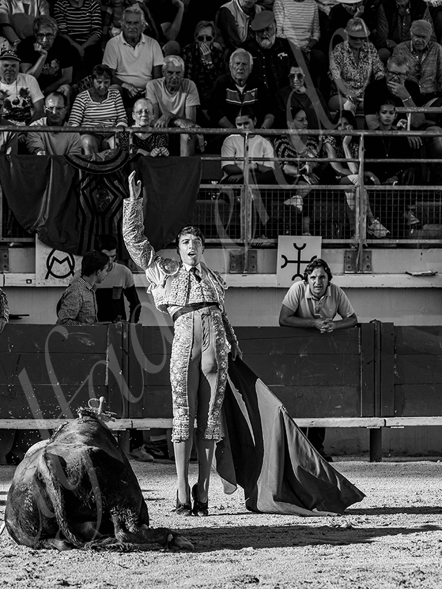 20251011 bouillargues by alfaduende 018