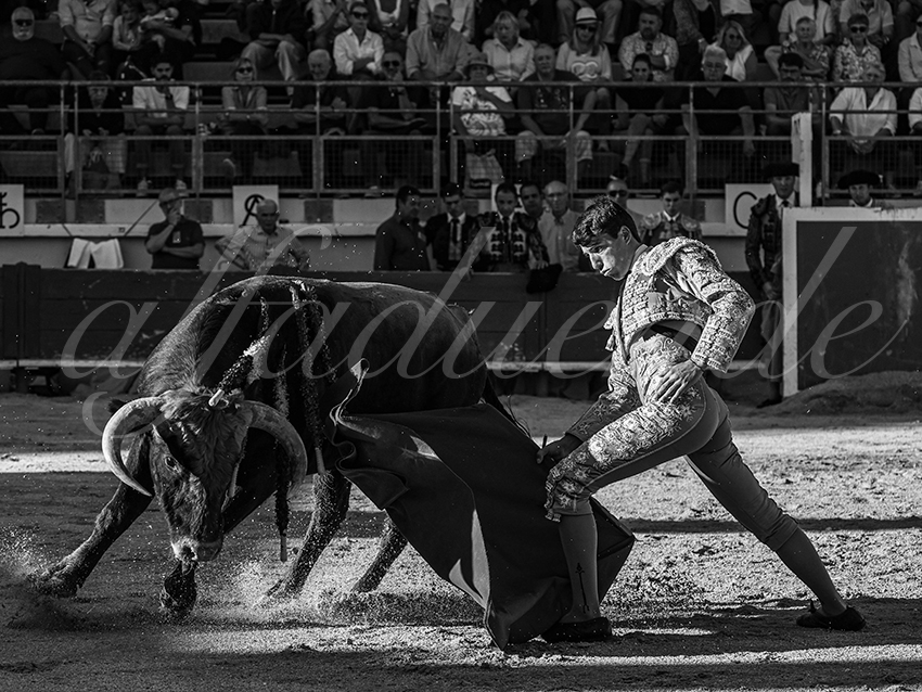 20251011 bouillargues by alfaduende 017