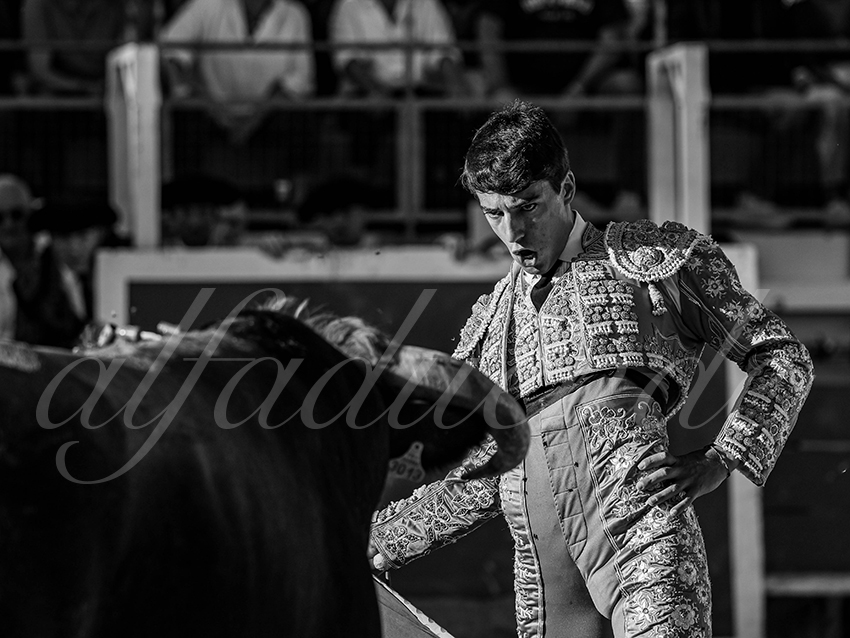 20251011 bouillargues by alfaduende 016