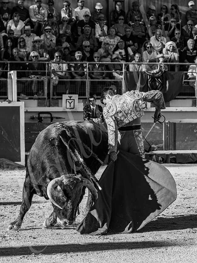 20251011 bouillargues by alfaduende 015