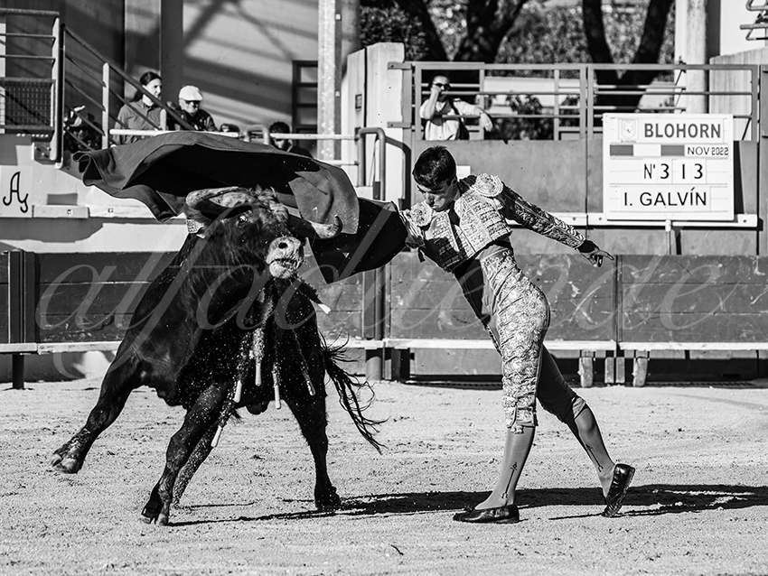 20251011 bouillargues by alfaduende 013