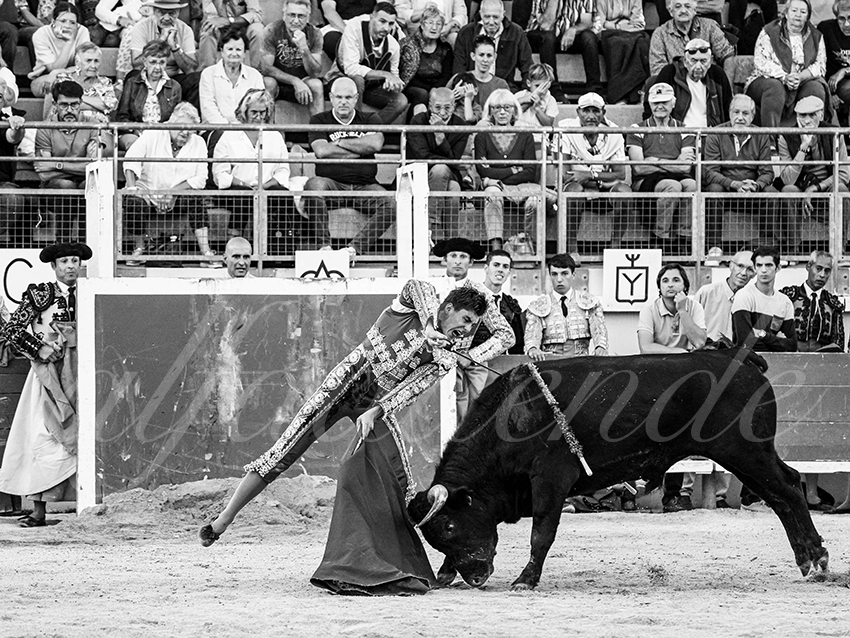 20251011 bouillargues by alfaduende 032