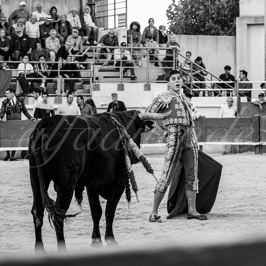 20251011 bouillargues by alfaduende 031