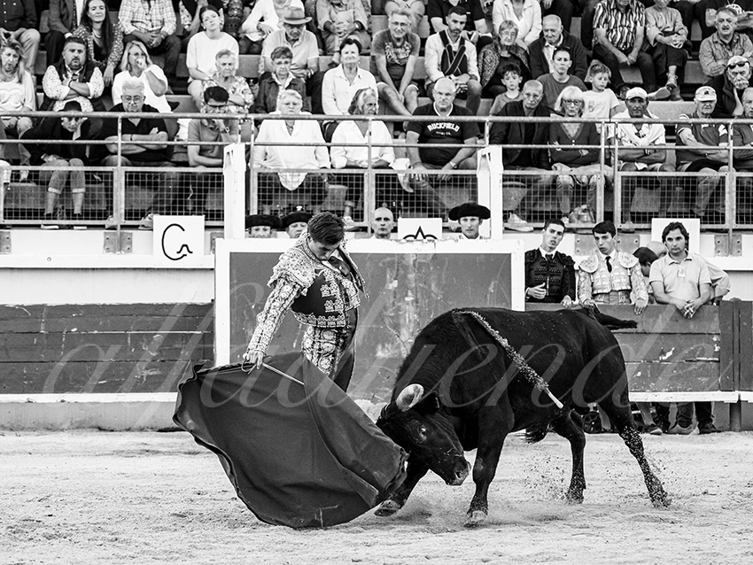 20251011 bouillargues by alfaduende 030